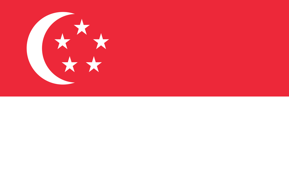 singapore flag medium